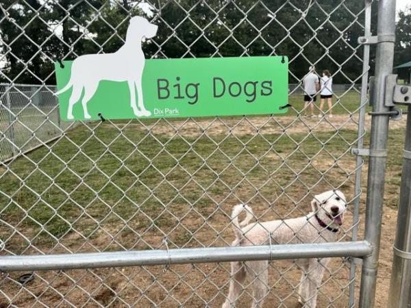 释放乐趣:罗利的顶级狗狗公园为你的四条腿的朋友