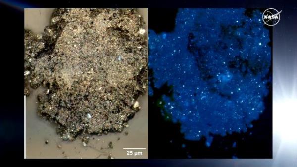 NASA reveals historic asteroid sample