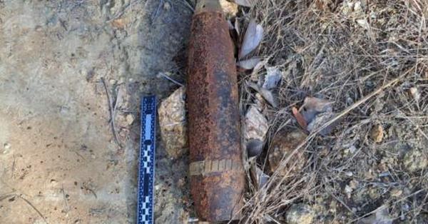 在昆士兰森林中发现的二战时期的炸弹爆炸了