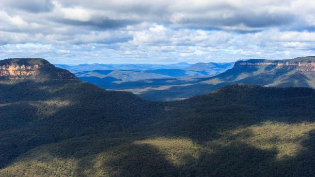 Eucalyptus forests in the Blue mountains, Katomba, Leura, Sydney