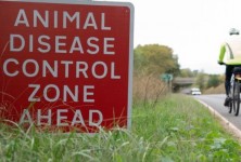阿伯丁郡:苏格兰疑似爆发禽流感，超过1000只海鸟死亡