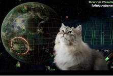 搞笑视频显示猫在玩质量效应2迷你游戏