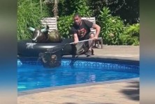 视频显示，纽约动物救援组织拯救了一只在住宅游泳池溺水的猫头鹰